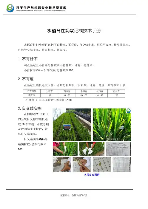 水稻育性观察记载技术手册