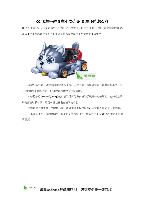 QQ飞车手游萌物B车小哈介绍