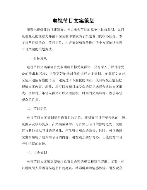 电视节目文案策划