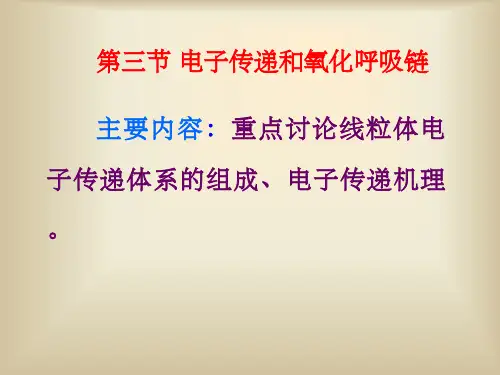电子传递和氧化呼吸链ppt课件