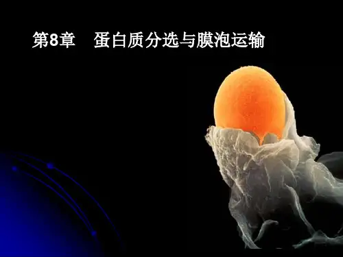 细胞生物学：第8章 蛋白质分选与膜泡运输