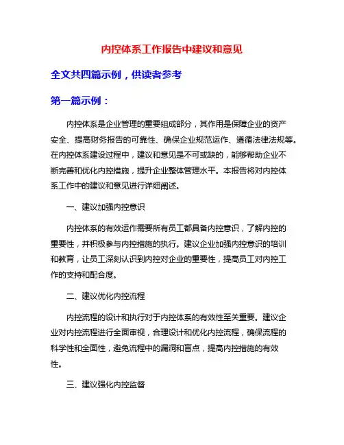 内控体系工作报告中建议和意见