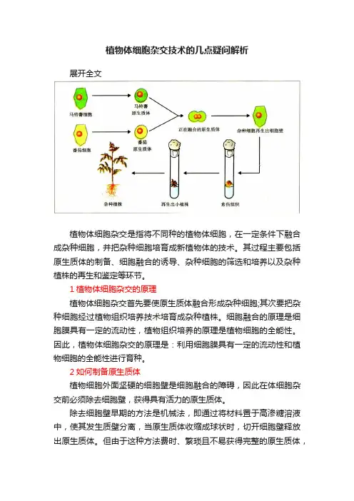 植物体细胞杂交技术的几点疑问解析