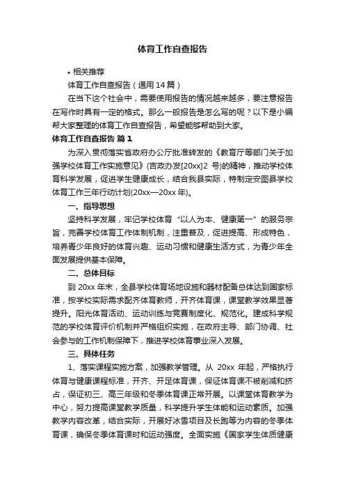 体育工作自查报告
