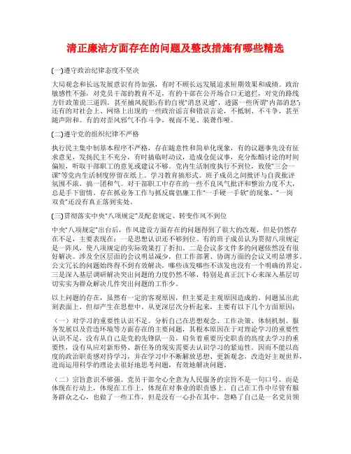 清正廉洁方面存在的问题及整改措施有哪些精选