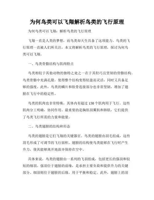 为何鸟类可以飞翔解析鸟类的飞行原理