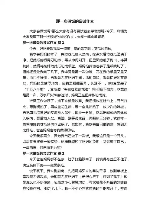 那一次做饭的尝试作文