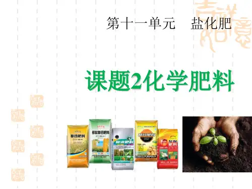 人教版九年级下册化学 《化学肥料》盐化肥PPT课件4 
