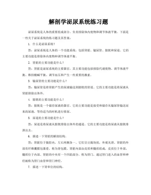 解剖学泌尿系统练习题