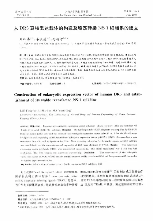 人DR5真核表达载体的构建及稳定转染NS-1细胞系的建立
