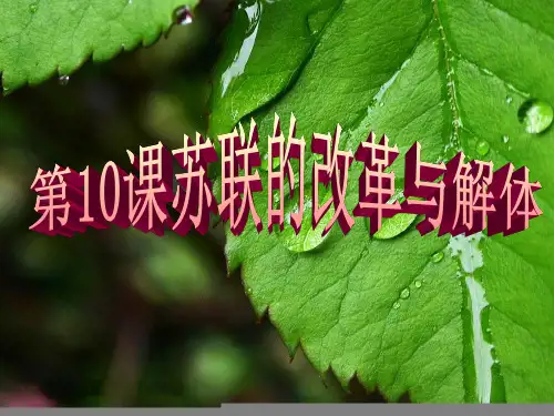 苏联的改革与解体