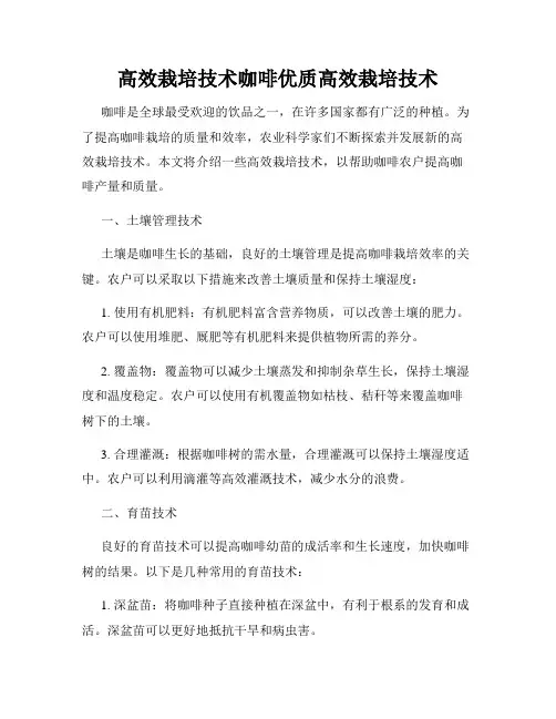 高效栽培技术咖啡优质高效栽培技术