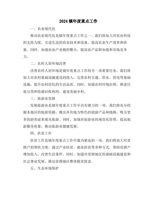 2024镇年度重点工作