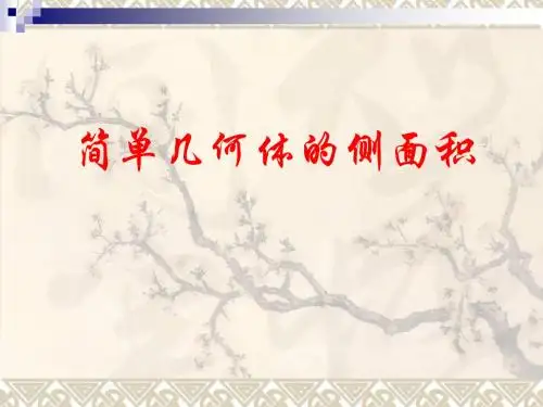 1.3.2简单几何体的侧面积