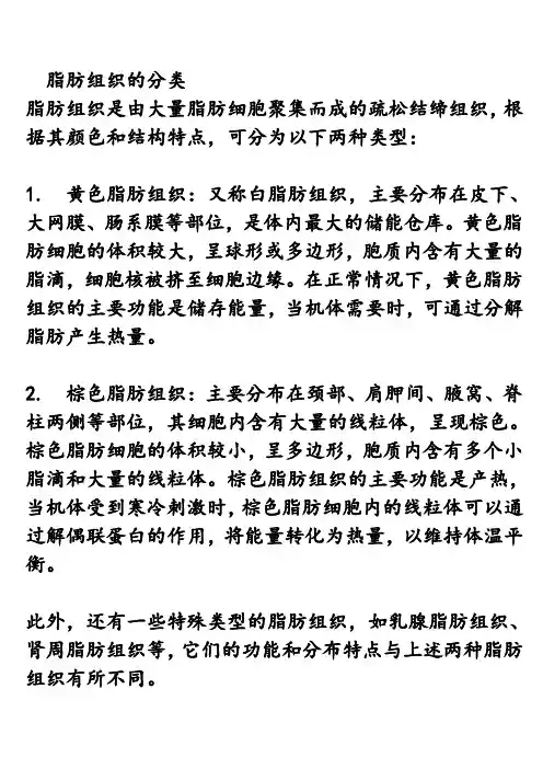 脂肪组织的分类