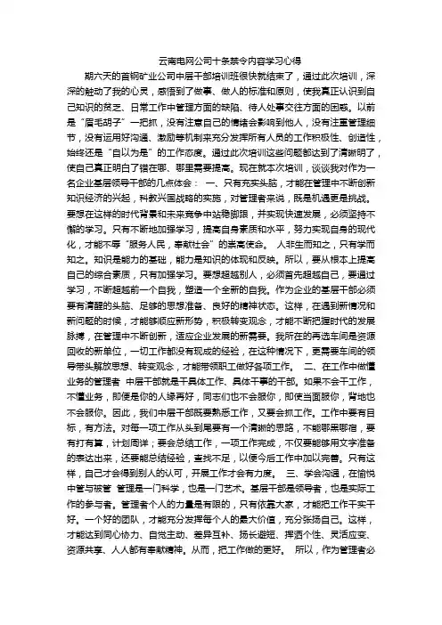 云南电网公司十条禁令内容学习心得