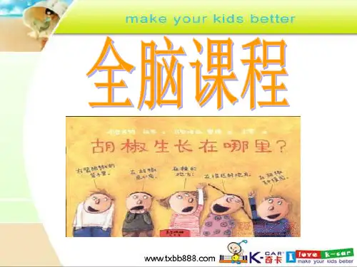 全脑PPTppt课件