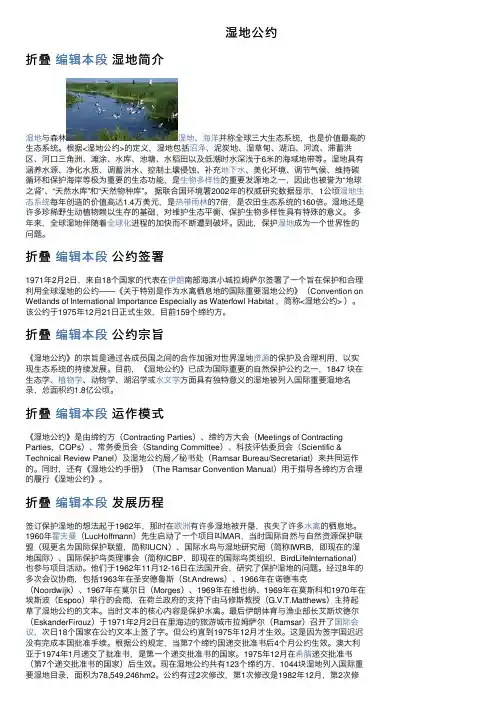 湿地公约——精选推荐