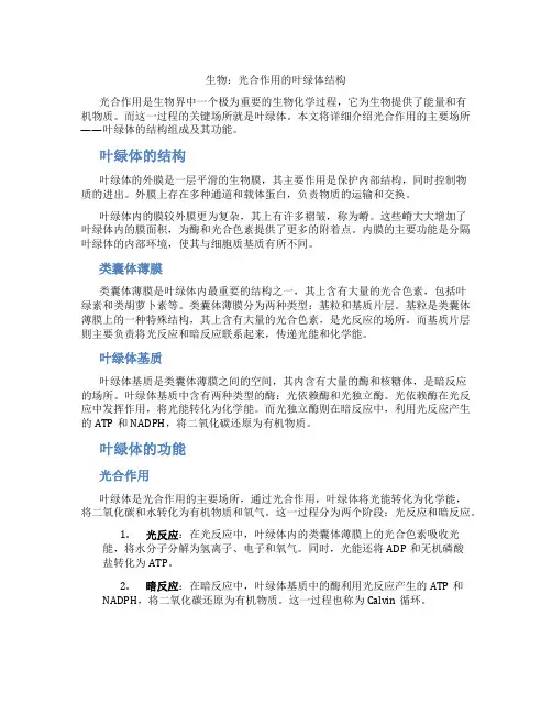 生物：光合作用的叶绿体结构