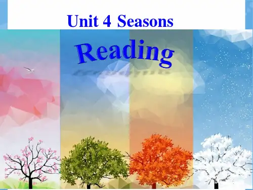 牛津深圳版七年级上册英语U4 Reading-最新