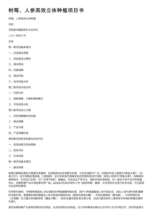 树莓、人参高效立体种植项目书