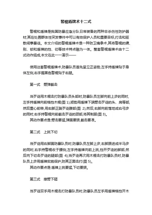 警棍盾牌术十二式