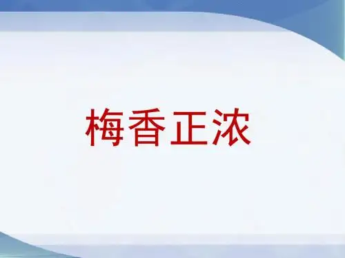 《梅香正浓》课件2.ppt