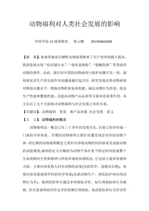 动物福利对社会的影响