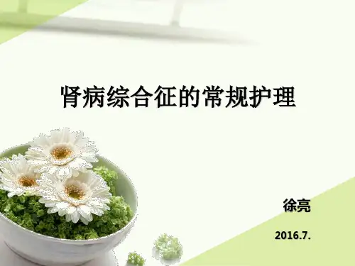 肾病综合征的常规护理ppt课件