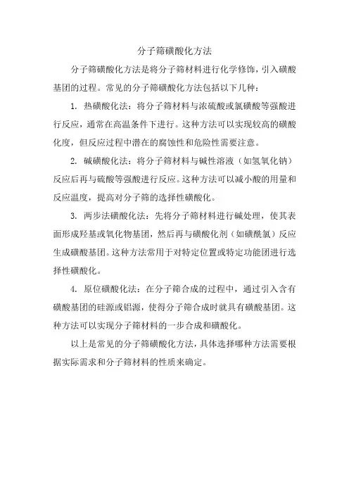 分子筛磺酸化方法