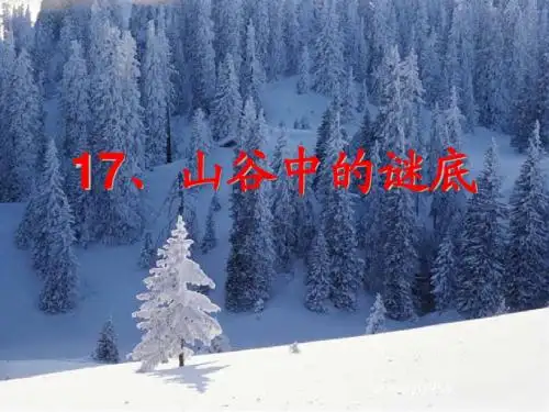 山谷中的谜底