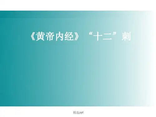 内经十二刺