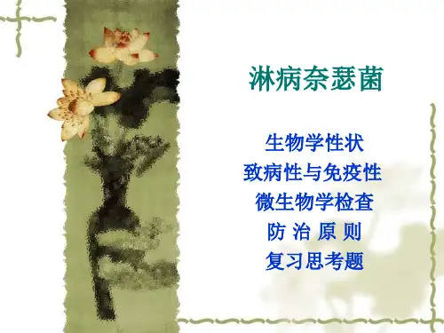 医学微生物学--微生物学各论(球菌)【淋病奈瑟菌】多媒体课件.ppt(