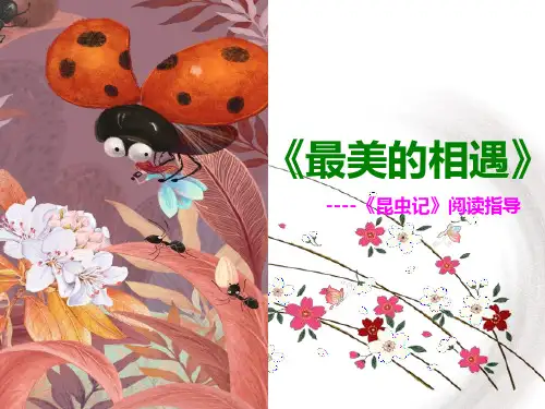 人教版八年级上册语文第五单元名著导读《《昆虫记》：科普作品的阅读》课件