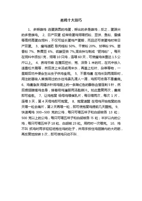 养鸡十大技巧