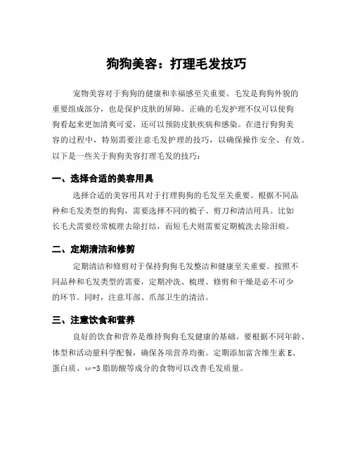 狗狗美容：打理毛发技巧