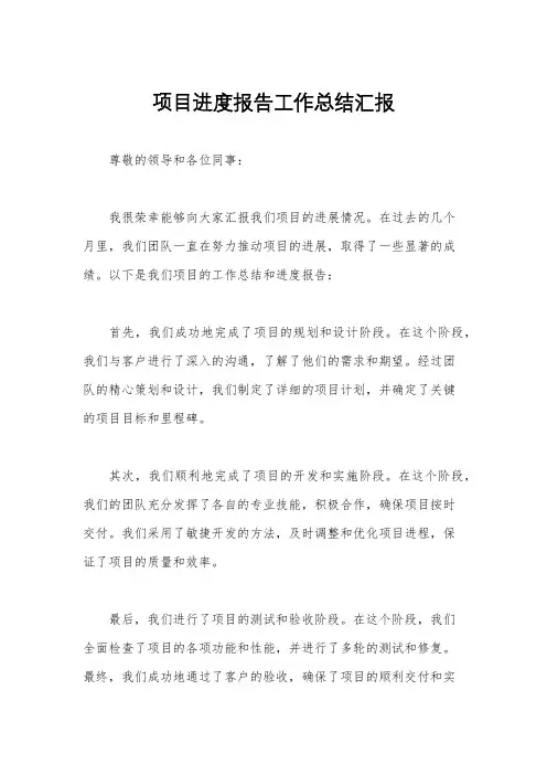 项目进度报告工作总结汇报