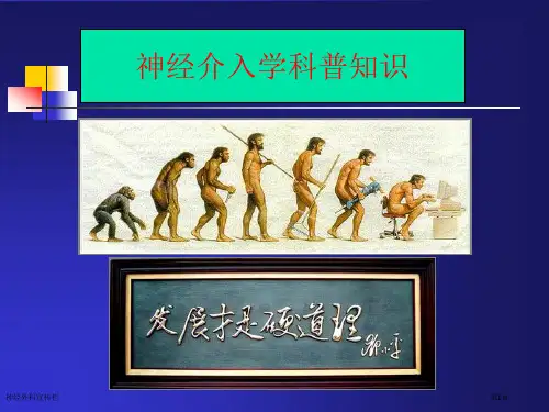 神经外科宣传栏
