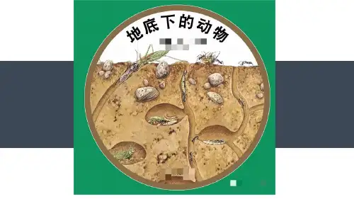 《地下的秘密》少儿美术PPT绘画课件创意教程教案