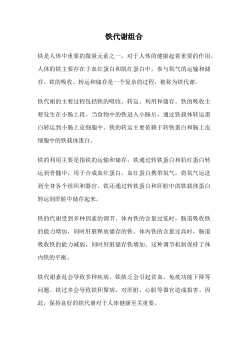 铁代谢组合