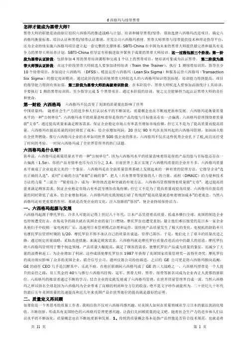 6西格玛与绿带黑带