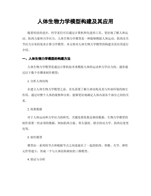 人体生物力学模型构建及其应用