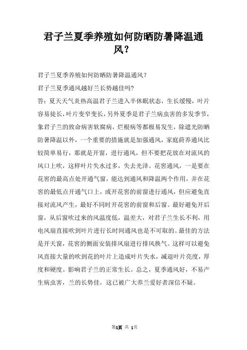 君子兰夏季养殖如何防晒防暑降温通风？