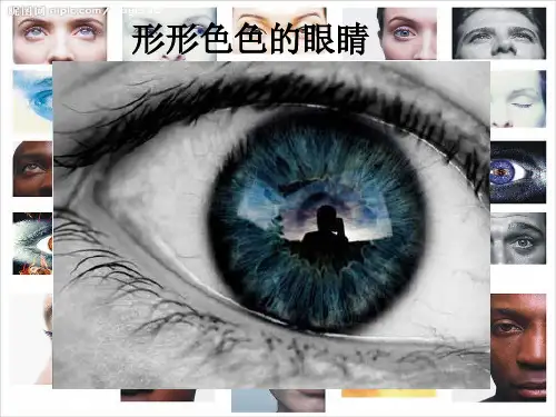 第六节 神奇的眼睛共32页文档