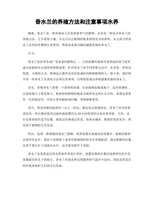 香水兰的养殖方法和注意事项水养