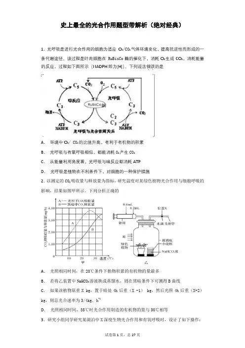 史上最全的光合作用题型带解析(绝对经典)