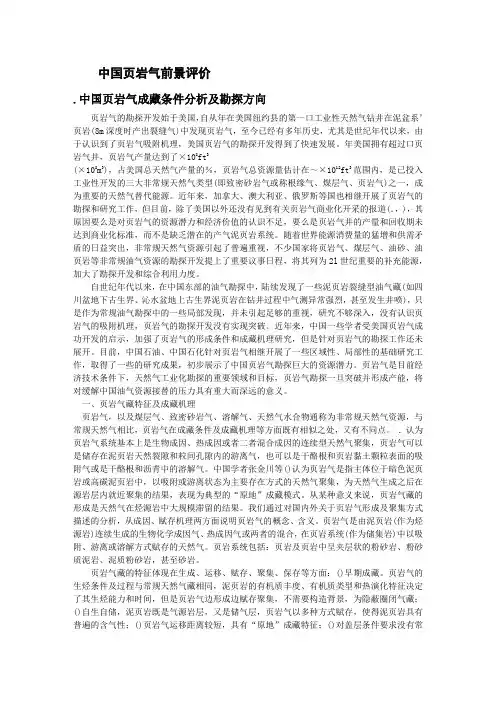 3_中国页岩气选取及标准