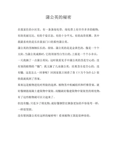 三年级状物蒲公英的秘密