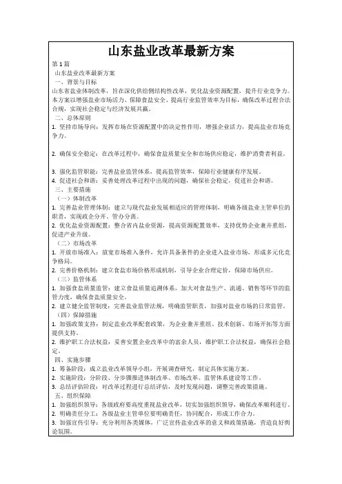 山东盐业改革最新方案