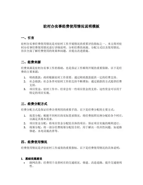 驻村办实事经费使用情况说明模板